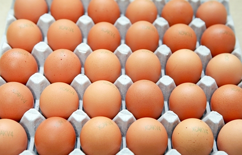 식약처가 달걀의 위생안전을 강화하고, 국내 음식점이 내년부터 아무 달걀이나 사용하지 못하게 한다. 사진=식약처