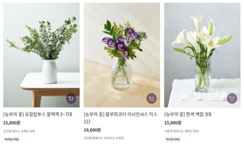 마켓컬리가 원예농가의 꽃을 상시 새벽배송하고 있다. 사진=마켓컬리