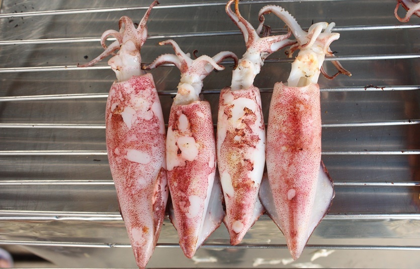 2일 해양수산부에 따르면 올해부터 강화한 살오징어 금어기와 금지체장 위반 행위에 대해 지난달 관계기관 합동으로 단속한 결과 1건이 적발됐다. 사진=픽사베이