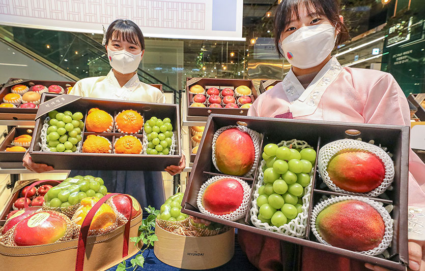 현대백화점은 설 선물로 총 47종의 이색 과일 세트를 선보인다. 사진=현대백화점