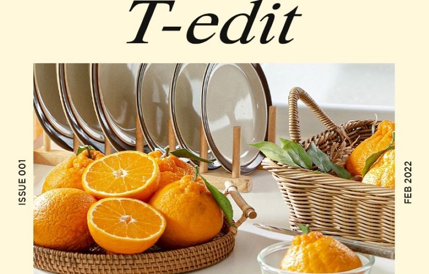 티몬이 온라인 매거진 '테딧'을 출간하고 고객에게 정보와 구매를 동시에 할 수 있도록 돕는다. 사진=티몬