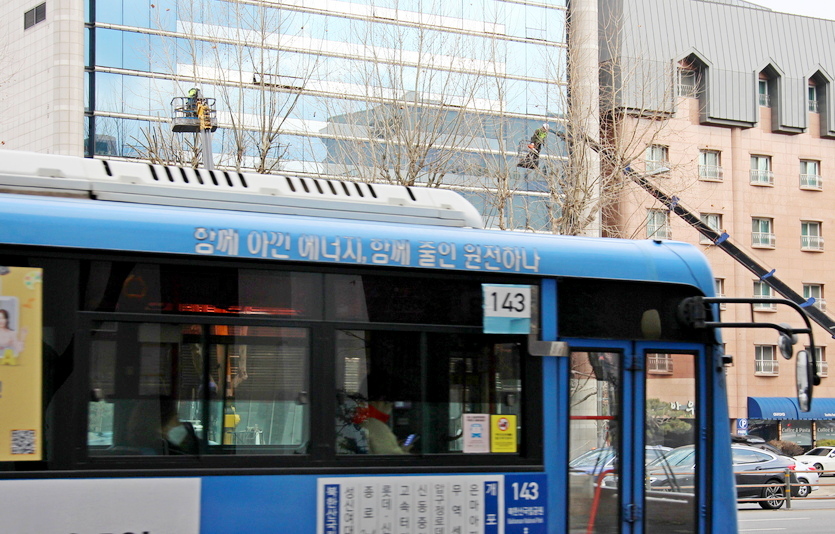 다만, 나무는 겨울이 오면 성장을 멈추기 위해 잎을 떨구고, 자양분이 부족하면 일부 가지에 영양을 공급하지 않는다. 가지치기 작업이 환경을 위한 정부의 탈원자력발전 표어를 붙인 버스와 묘한 대조를 이루고 있다. 사진=김진이 기자