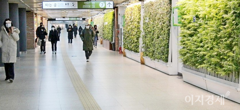 서울지하철 7호선 청담역에 가면 이 같은 고단함이 다소 덜어진다. 서울교통공사가 청담역을 자연 친화적으로 최근 바꿔서다. 청담공원 앞 사거리부터 경기고 사거리까지 650여미터의 지하 통로 벽과 기둥에 식물을 심었다. 종전 콘크리드 벽보다 행인의 고단함을 달래주는 정도가 탁월하다. 사진=정윤서 기자
