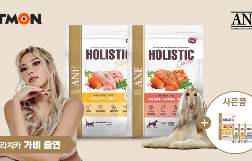 티몬이 반려동물관련 파트너사들과 함께 유기동물후원캠페인을 진행한다.