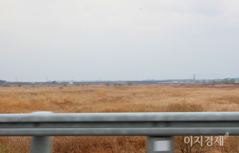 동진대교를 건너면서 잡은 동진강 고수부지 갈대는 여전히 가을이다. 사진=정수남 기자