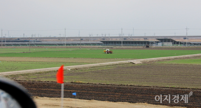 성마른 농부가 보리논에 못자리를 마련하고 있다. 통상 보리를 심은 논은 6월 하순에 모내기를 한다. 사진=정수남 기자