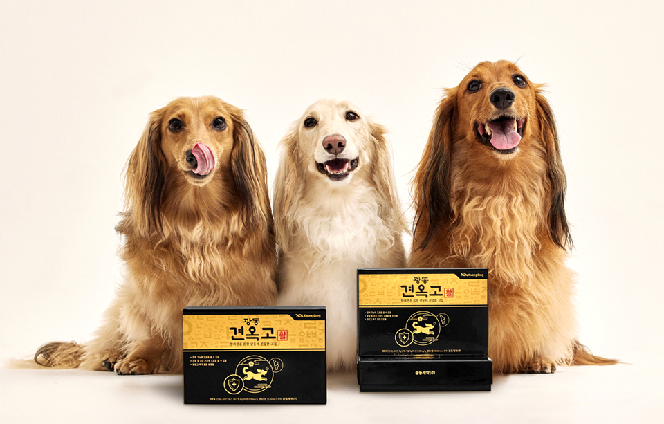 광동제약이 내놓은 프리미엄 반려견 영양제 ‘견옥고 활(活)’ 제품. 사진=광동제약