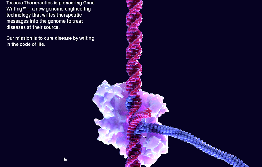 한화임팩트는 테세라 테라퓨틱스가 최근 약 3억달러를 모집하는 시리즈 C 자금 조달에 주요 투자자로 참여했다. 테세라 테라퓨틱스 웹사이트 캡쳐. 이미지=한화임팩트