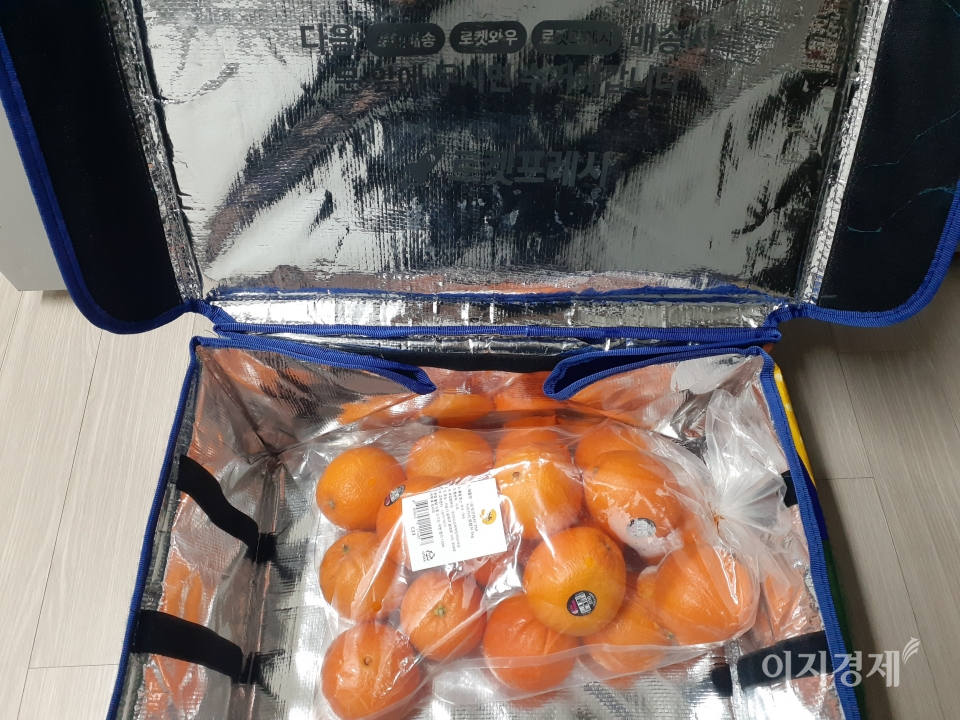 쿠팡의 로켓프레시 가방이다. 이중 구조로 신선식품을 산지에서 갓 수확한 상태로 고객이 체험할 수 있다. 로켓프레시 가방은 반영구적으로 환경도 충족하고, 다은 배송시 고객이 로켓프레시 가방을 집 앞에 놔두면 다음 배송시 수거해 가면서 추가 구매도 유도하고 있다. 사진=정윤서 기자