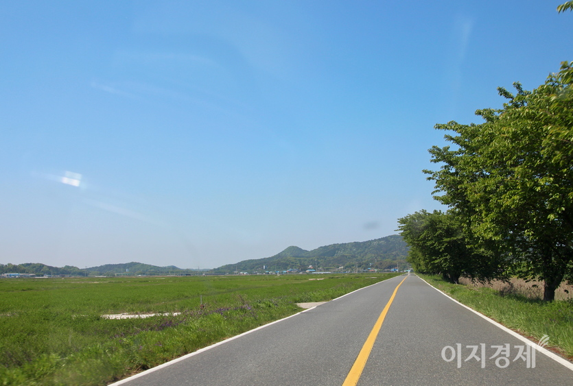 군산시 나포면 들판. 사진=정수남 기자