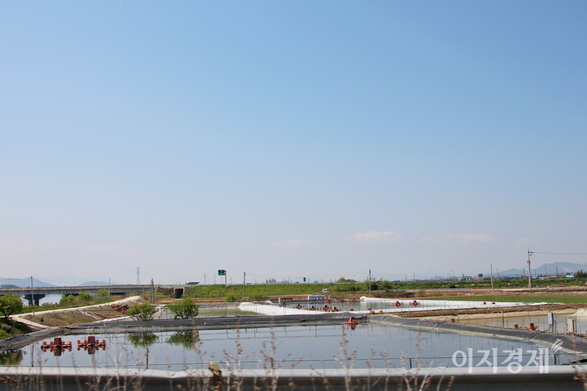 일부 논은 일손이 부족해 미꾸라지 양식장으로 변했다. 사진=정수남 기자