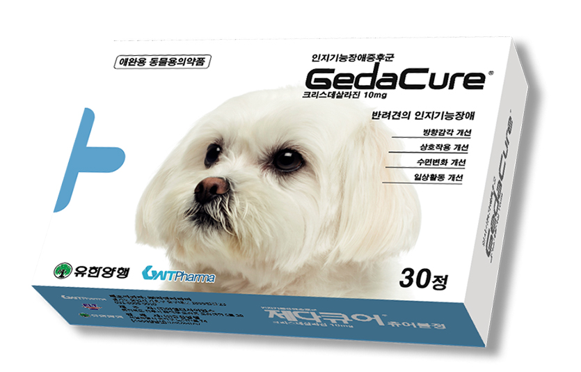반려견 인지기능장애증후군(CDS) 신약 ‘제다큐어’가 출시 1주년을 맞았다. 사진=유한양행