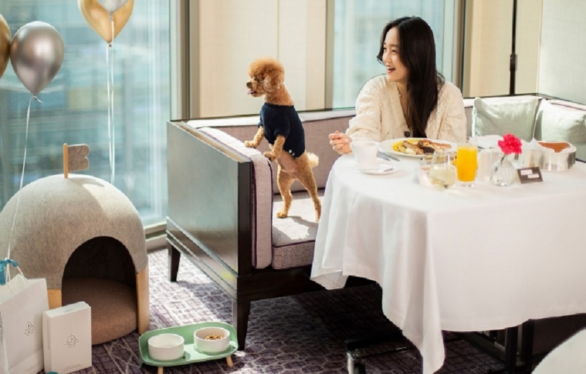 포시즌스 호텔서울이 도심에서 반려견과 함께할수 있는 패키지 상품을 출시했다. 사진=포시즌스호텔서울
