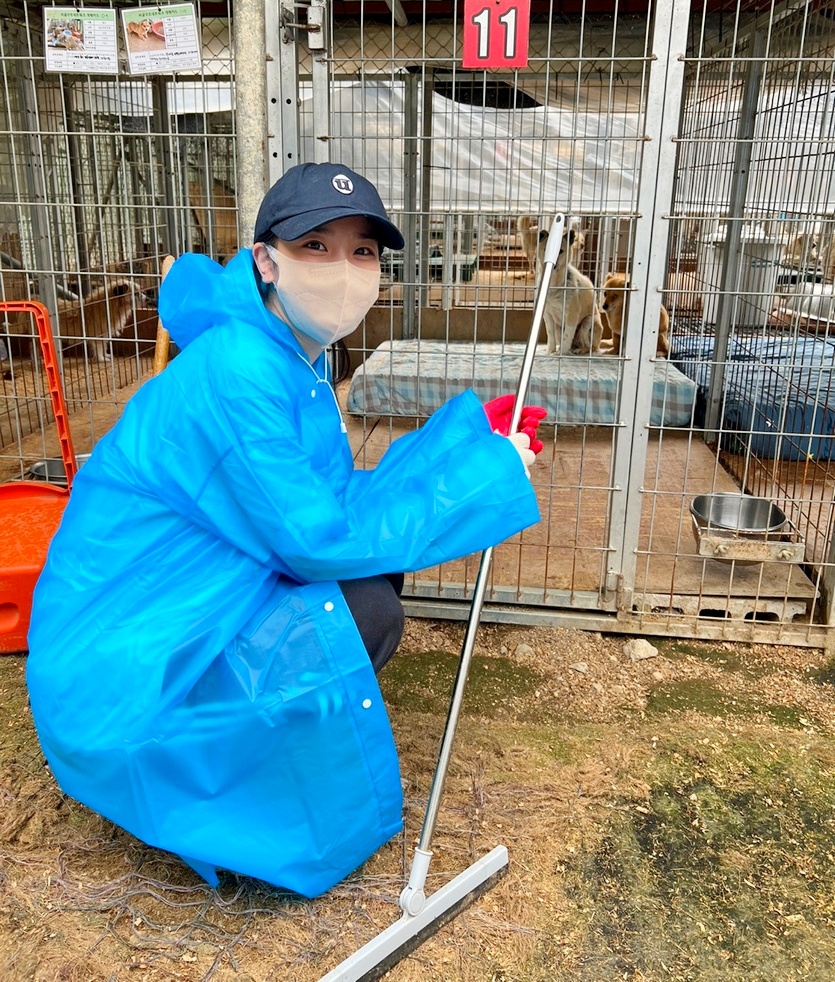 포천쉼터는 ‘개들의 지옥’으로 불린 사설 유실유기동물보호소 애린원에서 구조한 유기견을 보호하는 곳으로, 장희령 씨 등 봉사단원은 분변청소 등을 실시했다. 사진=KBI