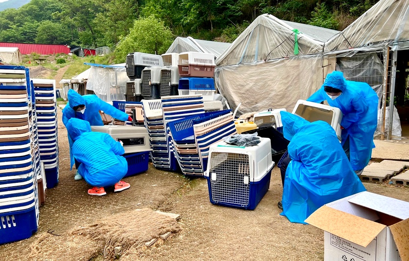 봉사단원이 커넬(우리)을 조립하고 있다. 사진=KBI