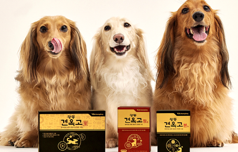광동제약이 천연물 소재로 만든 프리미엄 반려견 영양제 ‘견옥고’의 새 제품을 출시했다. 사진=견옥고