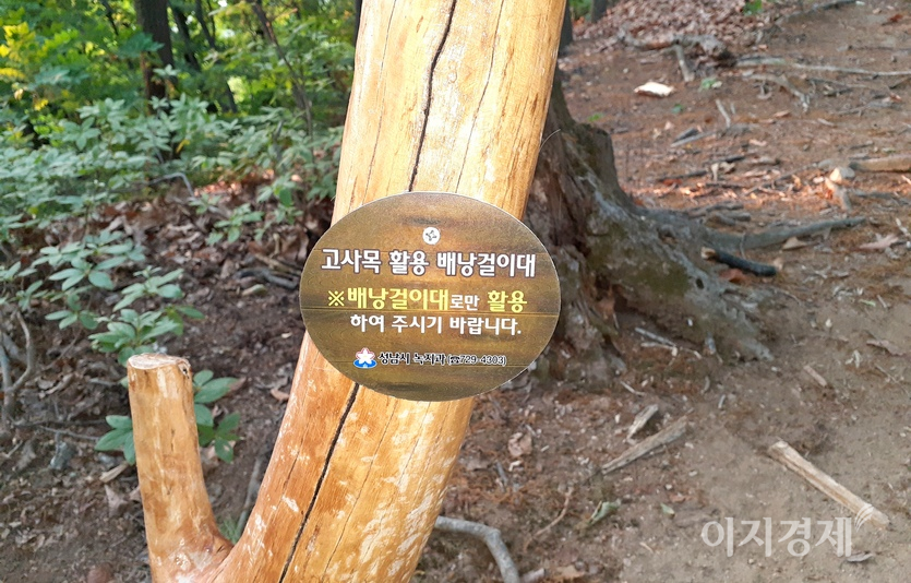 성남시가 등산로에 나무 의자와 배낭 걸이를 설치 다. 이들 설치물의 재료는 이곳 숲에서 고사한 나무를 이용했다. 종전 콘크리트 시설물을 대체한 친환경인 셈이다. 사진=이승렬 기자