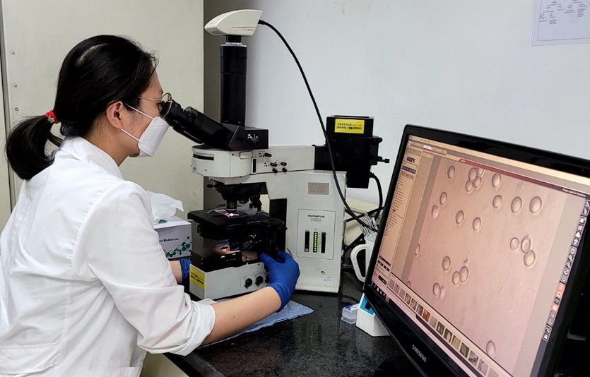 [하이트진로 사진자료] 하이트진로 연구원이 현미경을 통해 효모의 형태적 특성을 관찰하고 있다..jpg