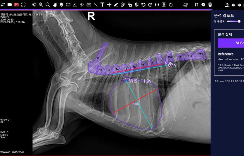 ‘엑스칼리버’를 통해 분석한 반려견의 근골격·흉부·VHS 엑스레이 사진. 사진=SK텔레콤