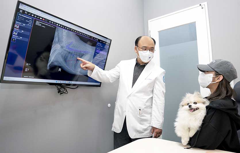 오이세 스카이동물메디컬센터 원장이 진료실에서 ‘엑스칼리버’를 통해 분석한 반려견의 엑스레이 사진을 설명하고 있다. 사진=SK텔레콤