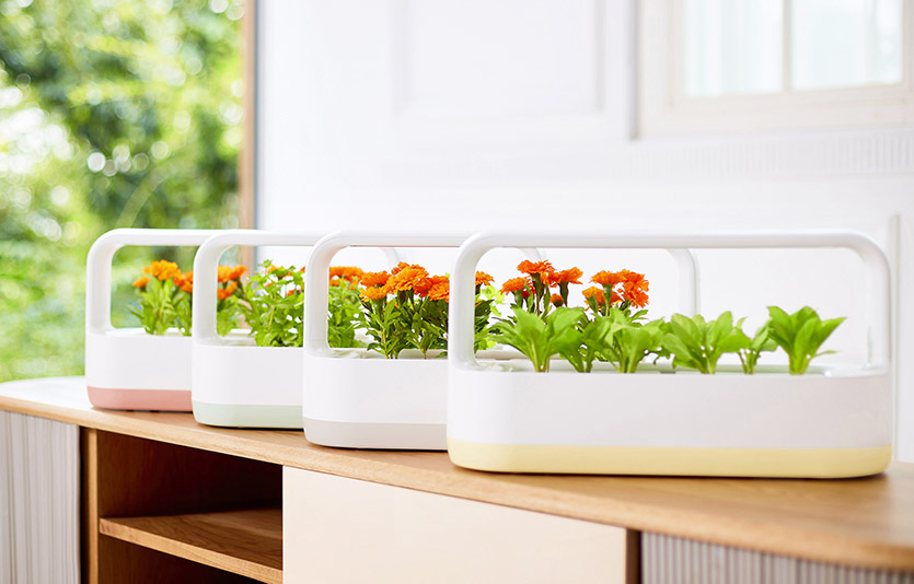 LG전자가 식물생활가전 ‘LG 틔운 미니’에 다양한 컬러와 재활용 플라스틱을 적용한 신제품을 1일 출시한다.사진=LG전자