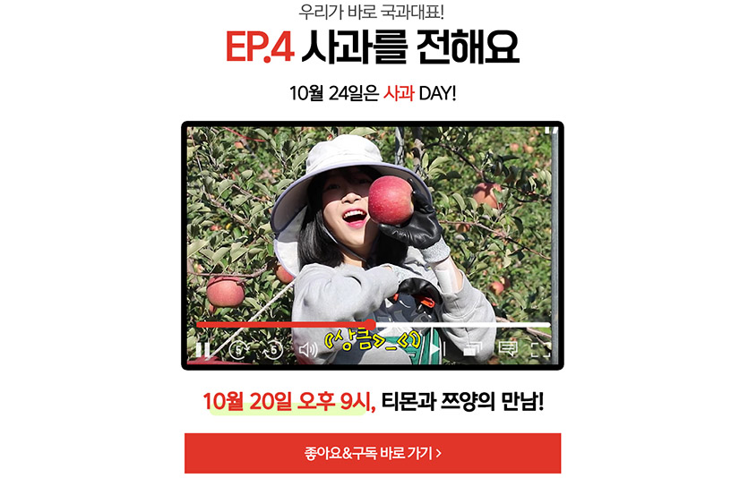 티몬은 먹방 유튜버 쯔양과 함께하는 특별 기획 콘텐츠 ‘우리가 국과대표’의 4번째 시리즈 ‘사과편’을 이날 저녁 공개하고, 제철 사과를 특가 판매한다. 이미지=티몬