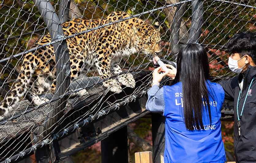 효성화학 옥산공장 임직원들이 청주동물원에서 ‘동물행동풍부화’를 통한 생물다양성 보전 활동을 펼쳤다. 사진=효성화학