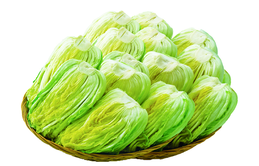 이마트는 사전 기획과 대량 매입을 통해 절임배추를 역대 최대 물량으로 준비하고 가격 인상도 최소화해 공급한다. 사진=이마트