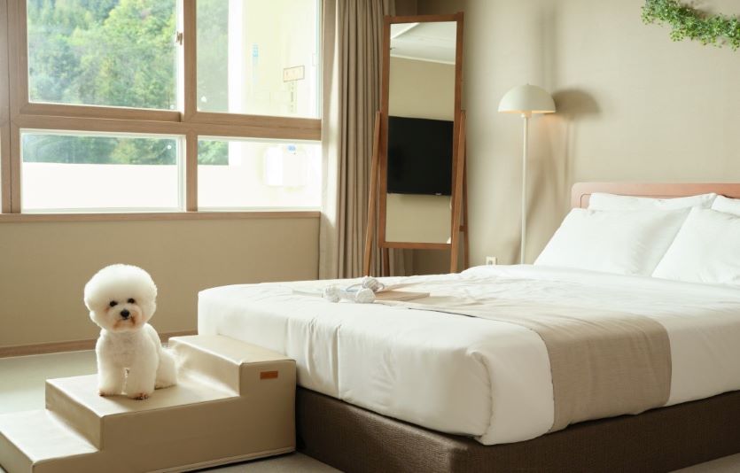 01.한화리조트 평창 멍패커 객실 사진.jpg