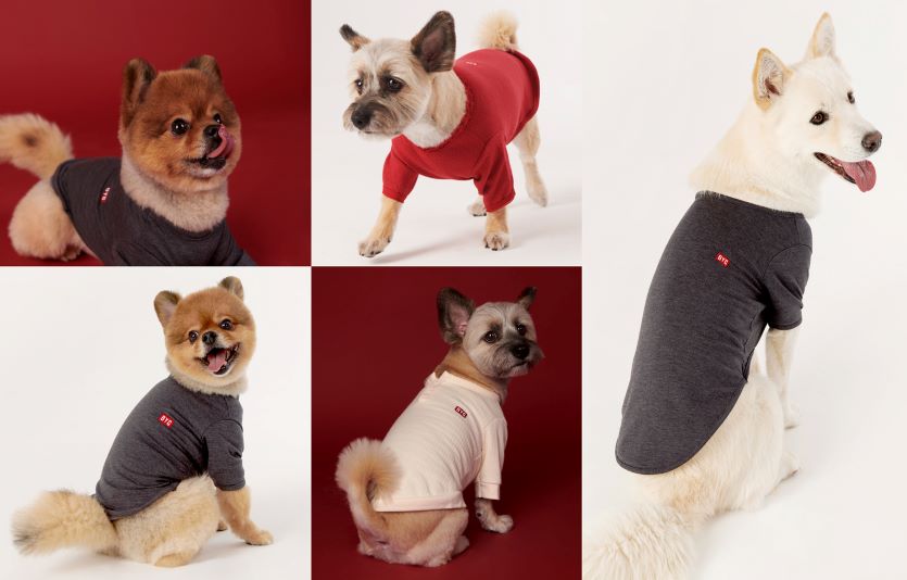 [BYC] BYC 반려견용 FW 제품.jpg