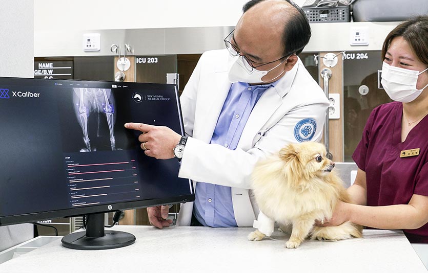 SK텔레콤은 ‘CES 2023’ 혁신상을 수상했다. 사진=SK텔레콤