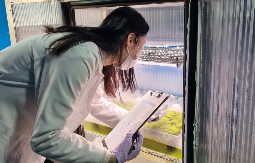 [이미지1]스마트팜 실험실에서 작물 상태를 확인하는 모습.jpg