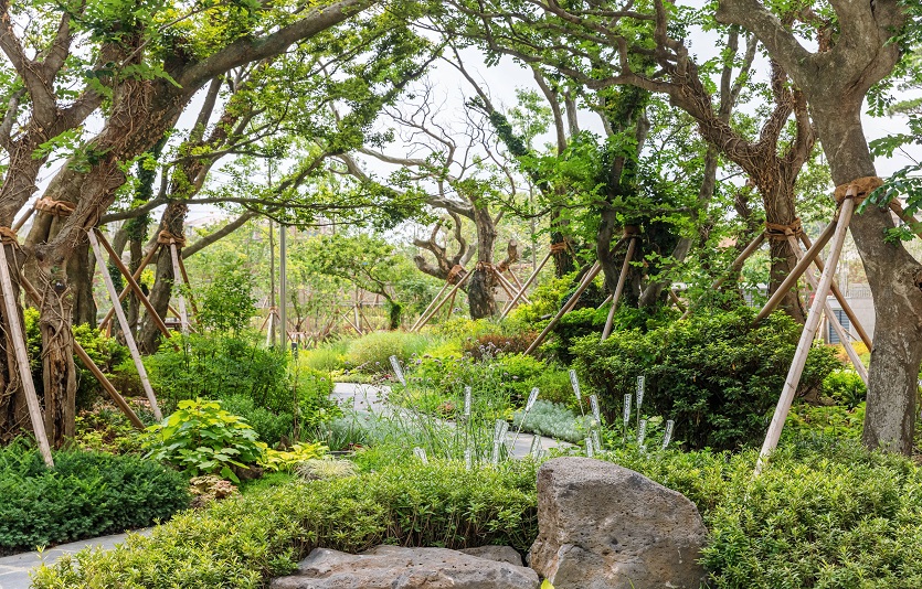 남산 롯데캐슬 센트럴스카이 팽나무 숲길(여름).jpg