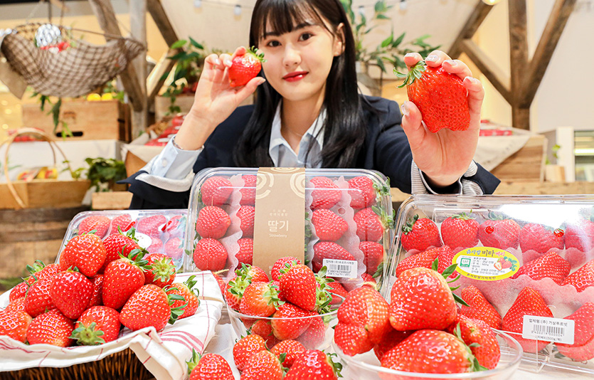 23일 서울 현대백화점 목동점 지하 2층 식품관에서 직원이 제철 맞은 봄딸기를 소개하고 있다. 사진=현대백화점