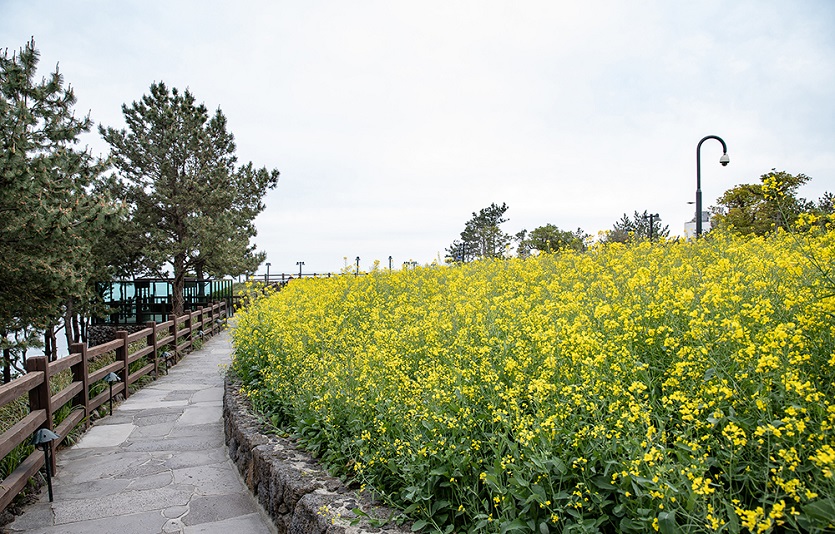 [제주신라호텔] 필 더 스프링.jpg