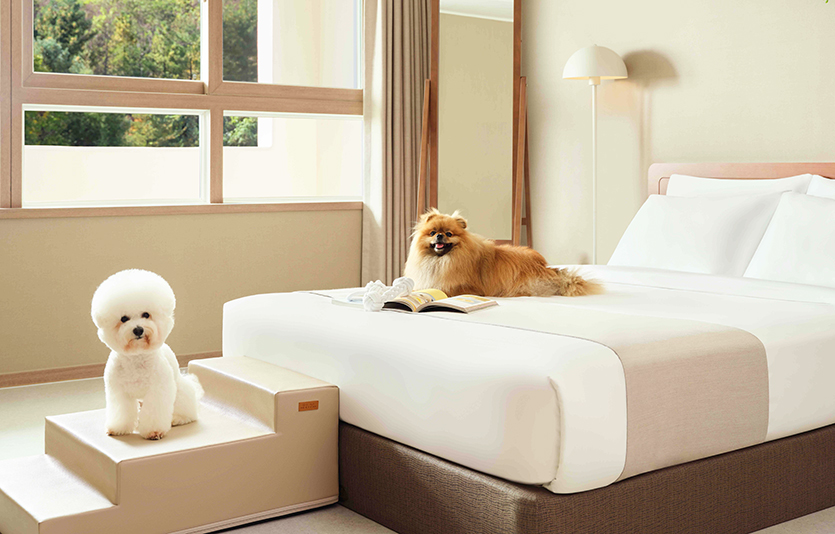 한화호텔앤드리조트가 4년 만에 흑자 전환에 성공했다. 반려동물과 함께 숙박할 수 있는 펫 객실. 사진=한화호텔앤드리조트