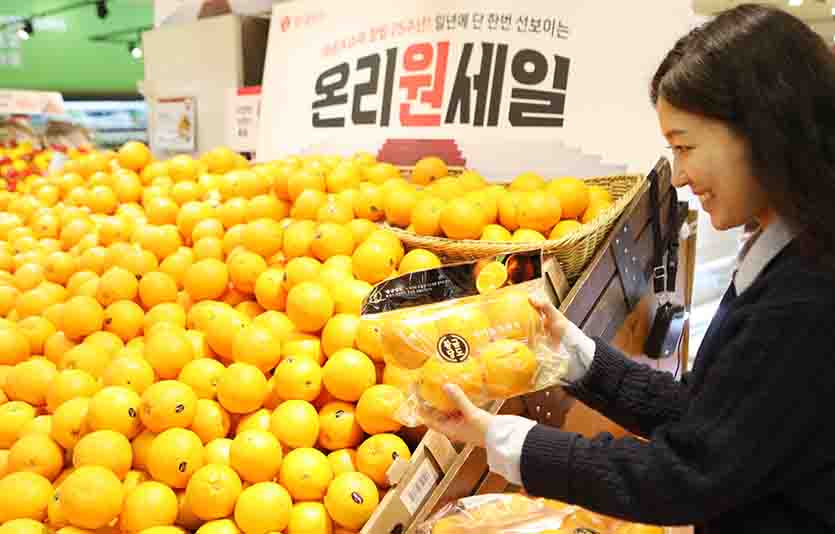 롯데마트는 3월부터 프리미엄 과일인 ‘자이언트 유레카 블루베리’와 ‘황금당도 오렌지’를 판매하고 있다. 사진=롯데마트