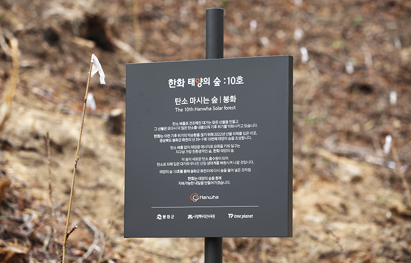 한화그룹은 지난해 산불 피해를 입었던 경북 봉화군 화천리 일대에 10번째 태양의 숲 ‘탄소 마시는 숲: 봉화’ 조성에 나섰다. 사진=한화그룹