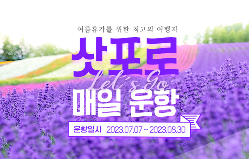 에어서울은 여름 성수기를 맞아 약 2달간 일본 삿포로 노선의 부정기편을 운항한다. 이미지=에어서울