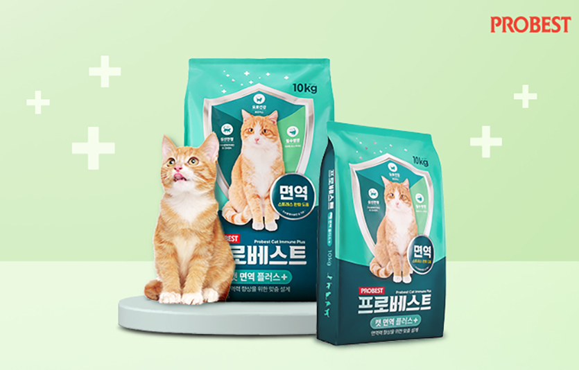 우리와주식회사는 고양이 면역력 향상을 위한 ‘프로베스트 캣 면역플러스’ 제품을 출시했다. 사진=우리와주식회사