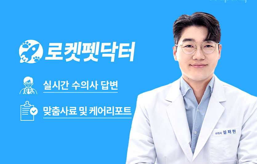 쿠팡은 반려동물을 키우는 고객을 위한 수의사 답변 서비스 ‘로켓펫닥터’를 론칭했다. 이미지=쿠팡