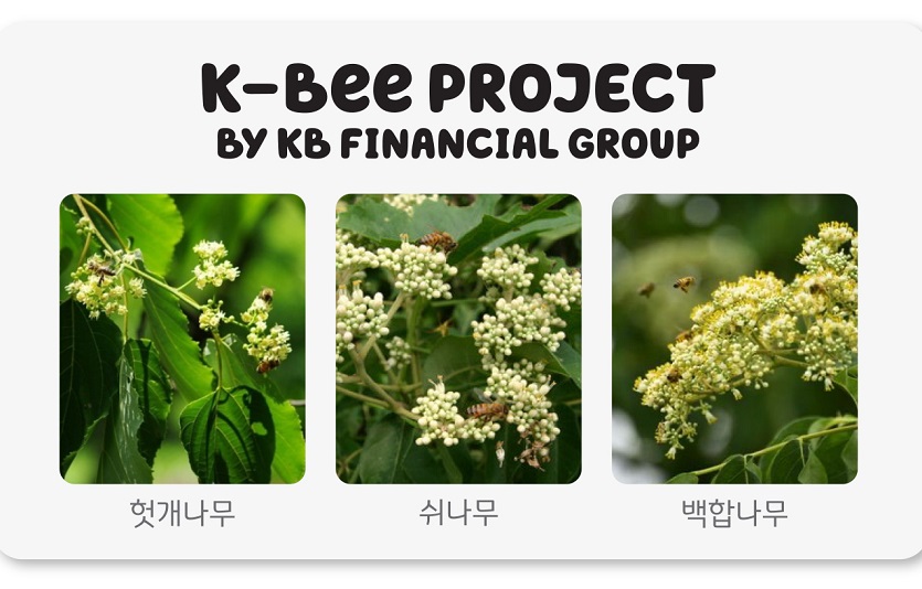 [사진자료] KB금융은 헛개나무, 백합나무, 쉬나무 등 다양한 묘목으로 밀원숲을 조성하고 있다.jpg