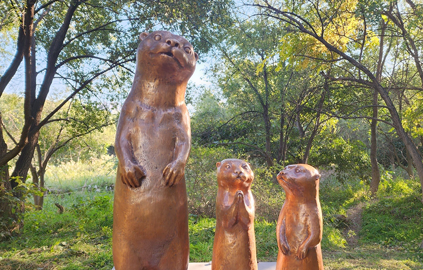 서울 여의도 샛강생태공원에 조성한 수달 동상. 사진=사회적협동조합 한강