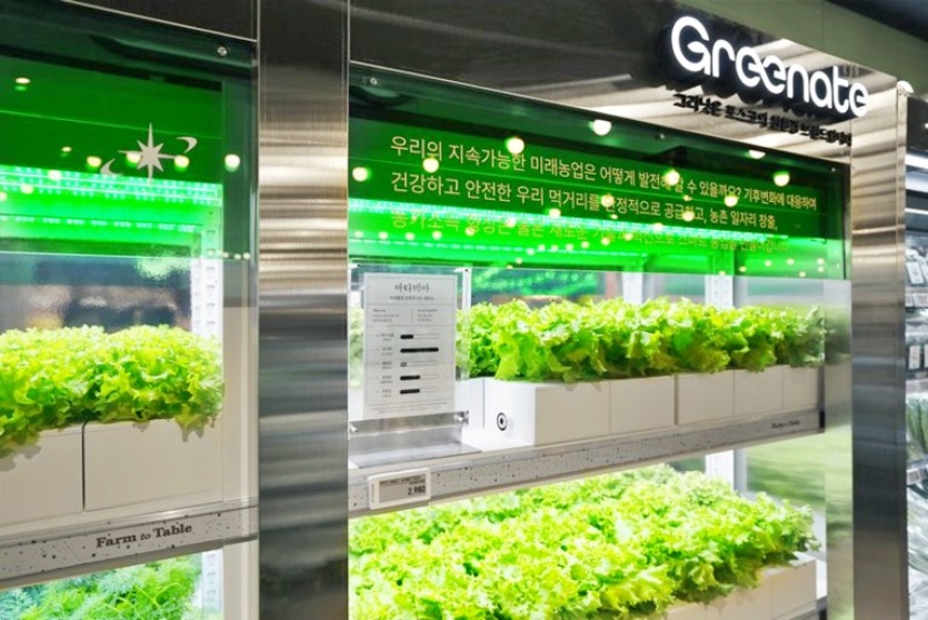 이마트 연수점 스마트팜에 적용된 '그리닛' 강재. 사진=포스코그룹