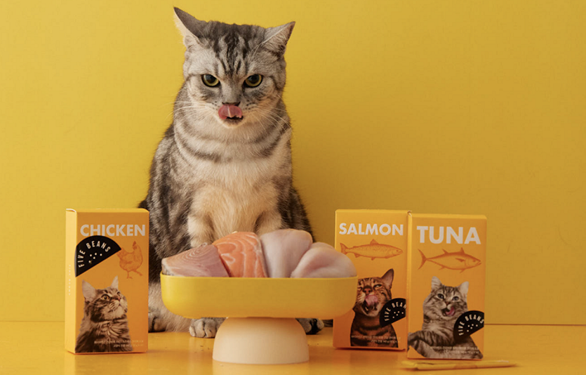 파이브빈스가 고양이 영양간식 '건강하쮸'를 출시했다. 사진=파이브빈스