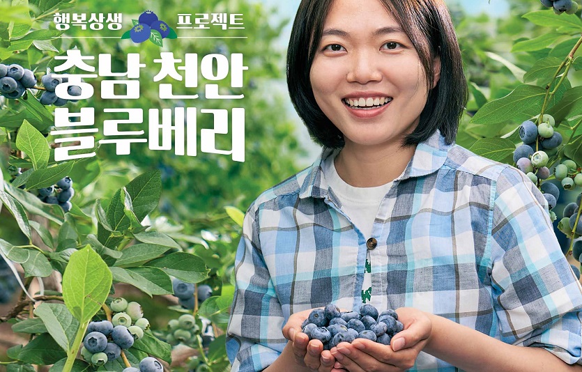(이미지) 천안 청년농부 지원하는 파리바게뜨 ‘블루베리 케이크’ 출시.jpg