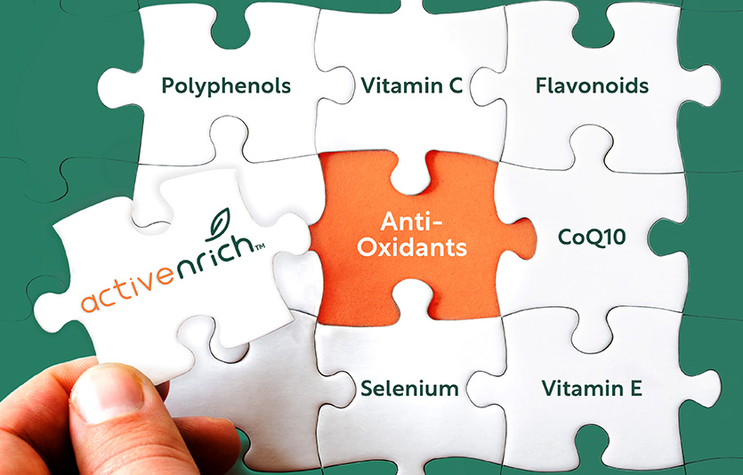 CJ제일제당은 고기능성 영양 솔루션 브랜드인 ‘액티브엔리치’를 론칭하고 글로벌 시장 공략에 본격 나선다. 사진=CJ제일제당