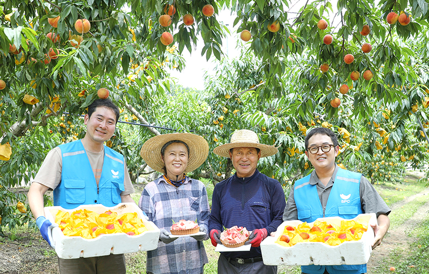 SPC그룹은 폭우 피해가 극심했던 충북 지역의 음성 복숭아와 괴산 찰옥수수를 수매하기로 했다. 음성 복숭아 농가를 찾은 SPC그룹 직원들과 농부들이 기념촬영을 하고 있다. 사진=SPC그룹