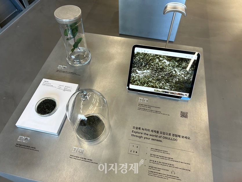 '원물존'에서는 직접 오설록의 차로 오감 체험이 가능하다. 사진의 왼쪽 위부터 1번으로 설명의 순서에 맞게 체험해볼 수 있다. 사진=김선주 기자