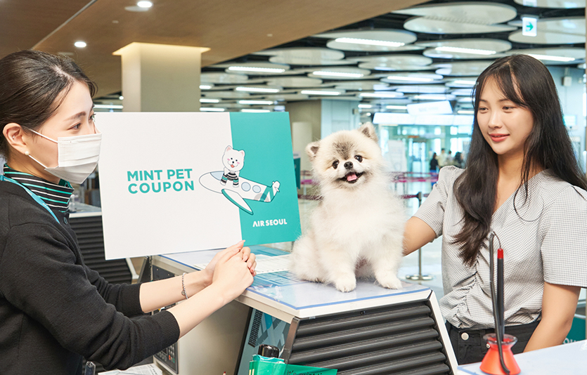 에어서울이 최근 반려동물 동반 탑승객을 대상으로 ‘민트펫 쿠폰’ 서비스를 시작했다. 사진=에어서울